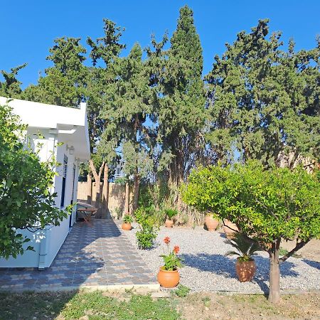 Deja Blue Villa Archangelos  Exterior photo