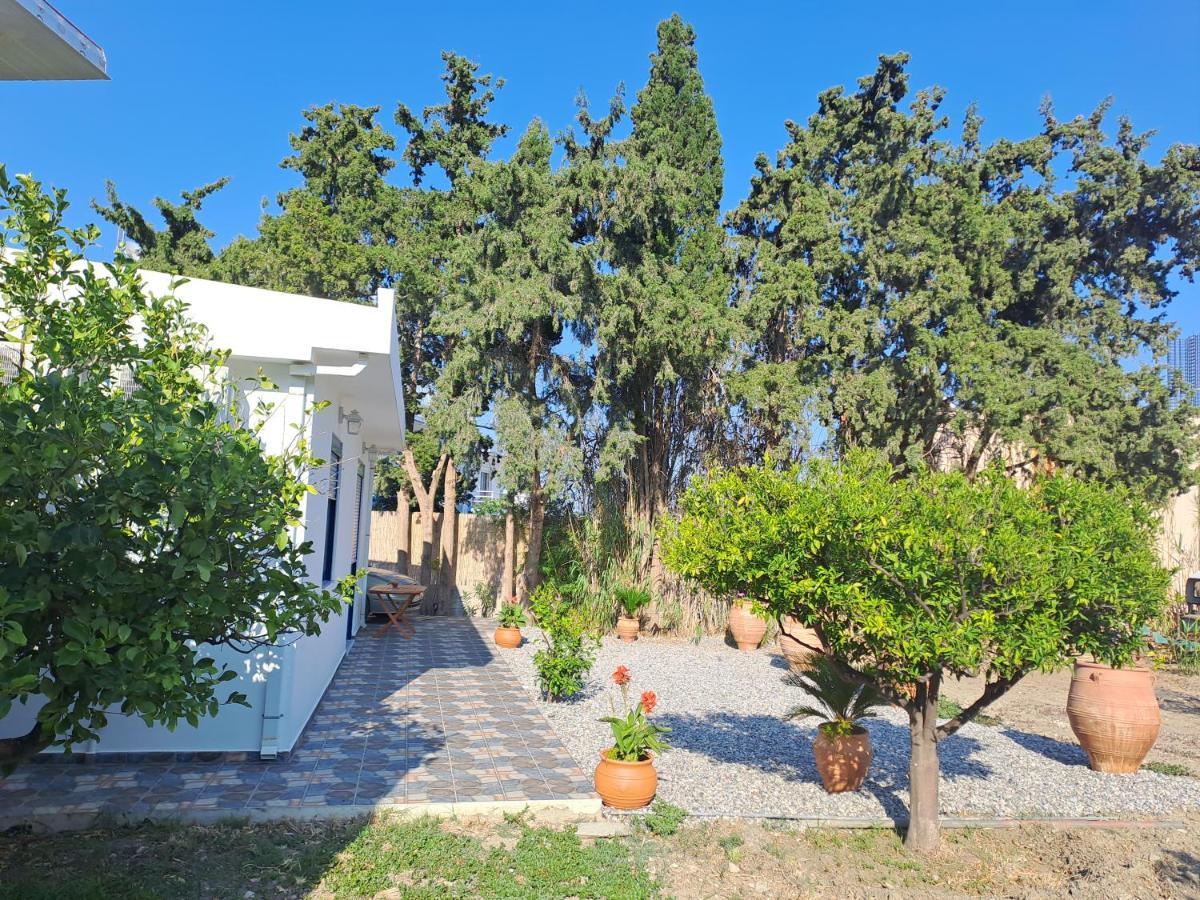 Deja Blue Villa Archangelos  Exterior photo